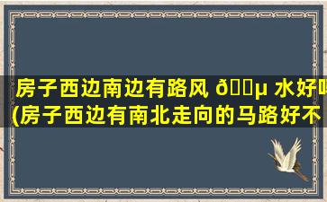 房子西边南边有路风 🌵 水好吗(房子西边有南北走向的马路好不好)
